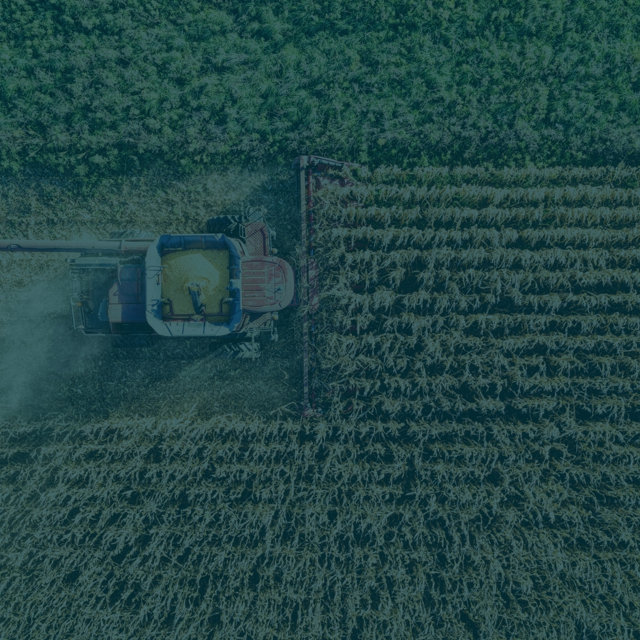 Agricultural Commodities